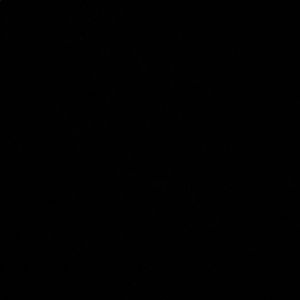 Meet your Posher, Camille